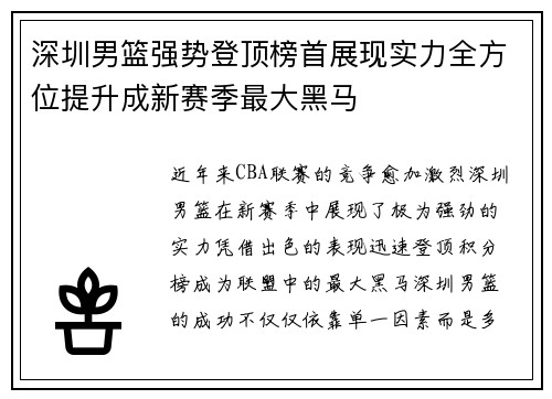 深圳男篮强势登顶榜首展现实力全方位提升成新赛季最大黑马